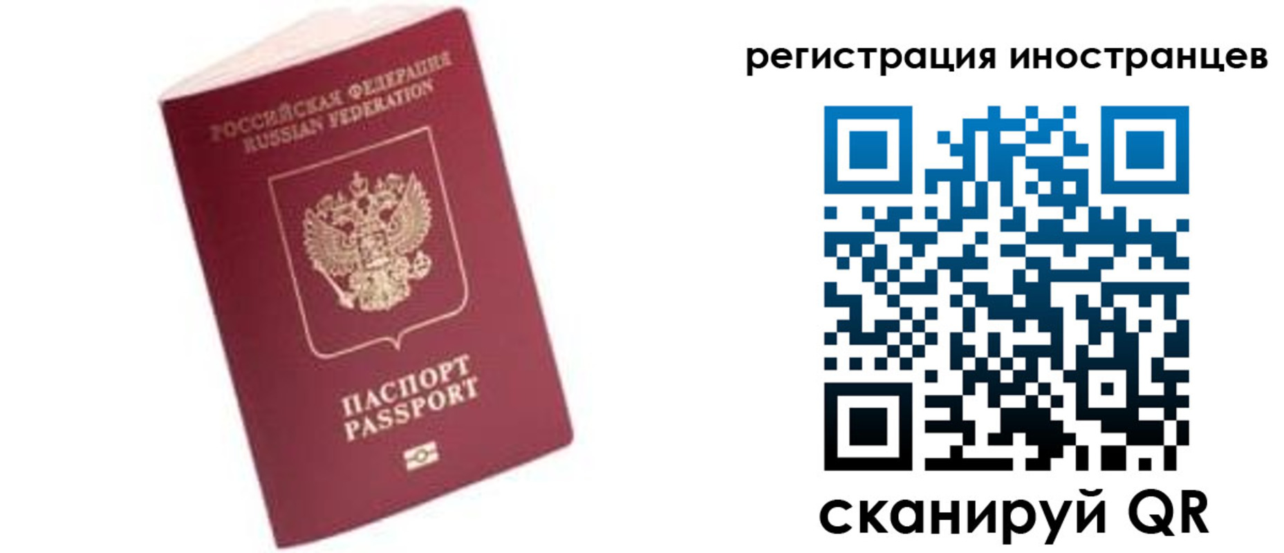 временная регистрация поиск в Светогорске